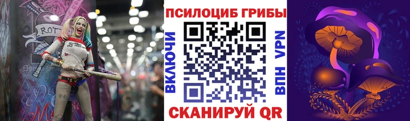 Галлюциногенные грибы прущие грибы  купить наркотики сайты  Североморск 